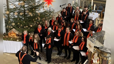 Der Ipsheimer Gospelchor bei einem seiner ersten Auftritte in der Ipsheimer St. Johannis Kirche. (Foto: Kim Bauereiß)