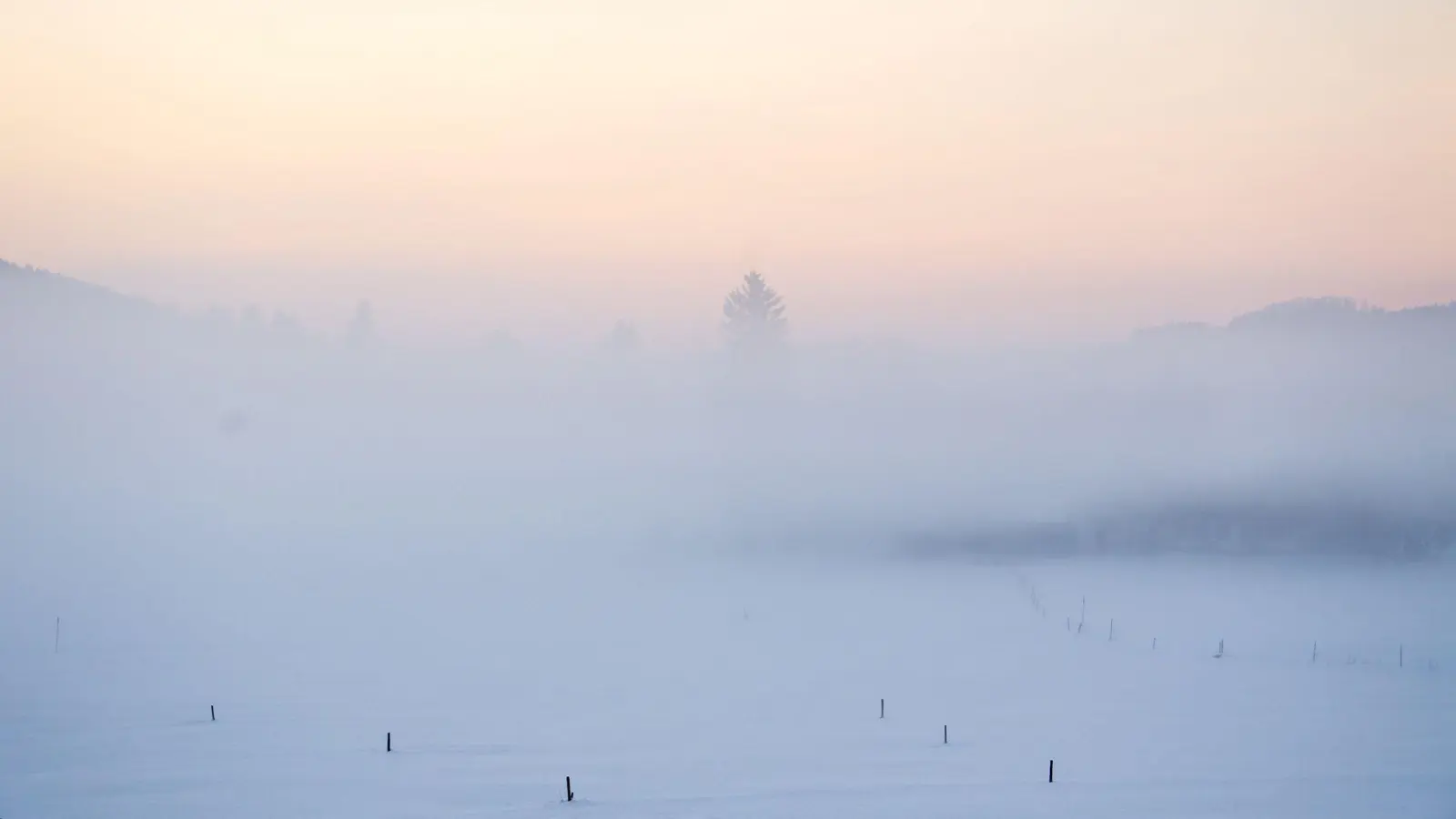 Nebelschwaden ziehen über eine schneebedeckte Wiese. (Foto: Sven Hoppe/dpa/Symbolbild)