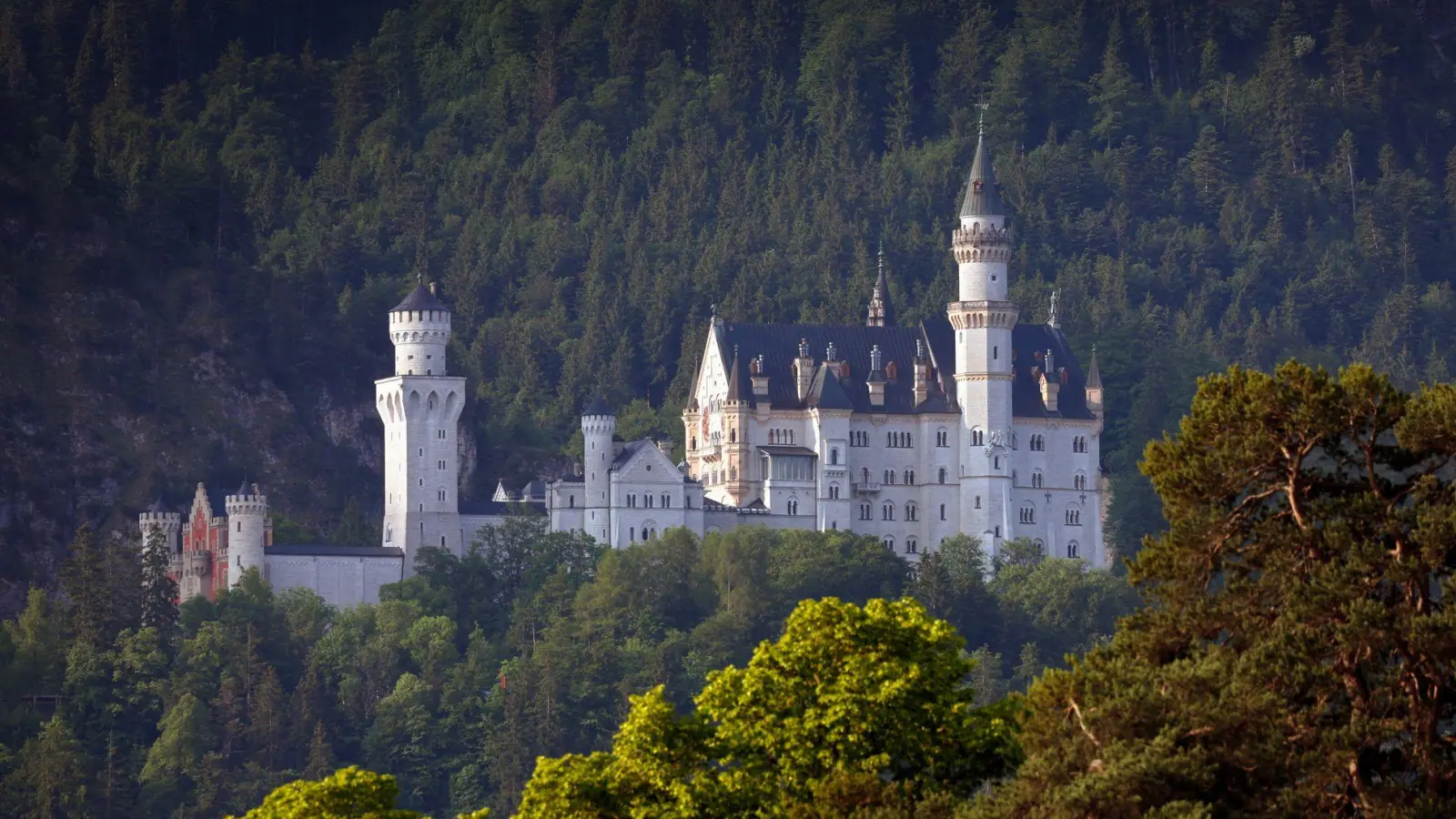 Fast 1,1 Millionen Menschen haben Schloss Neuschwanstein 2025 besucht. (Archivbild) (Foto: Karl-Josef Hildenbrand/dpa)