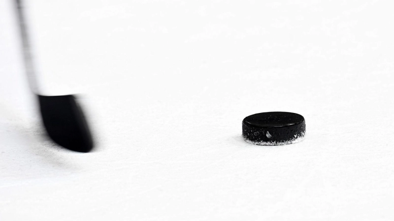 Die Straubing Tigers legen in der Offensive nach. (Symbolbild) (Foto: Tobias Hase/dpa)