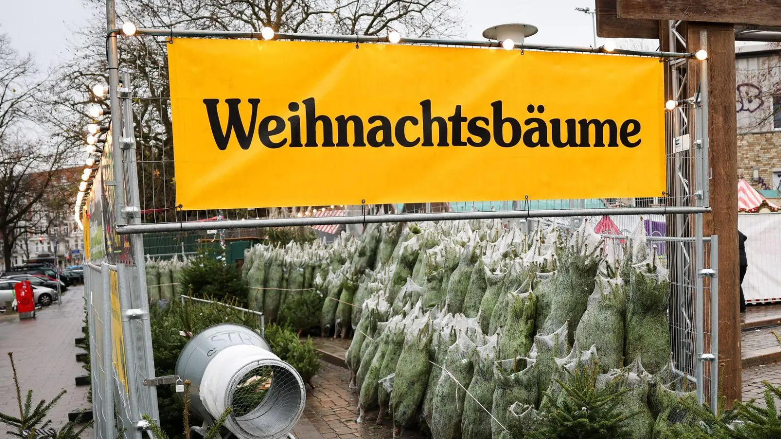 Weihnachtsbäume haben in Deutschland eigentlich immer Nadeln. (Archivbild) (Foto: Christian Charisius/dpa)