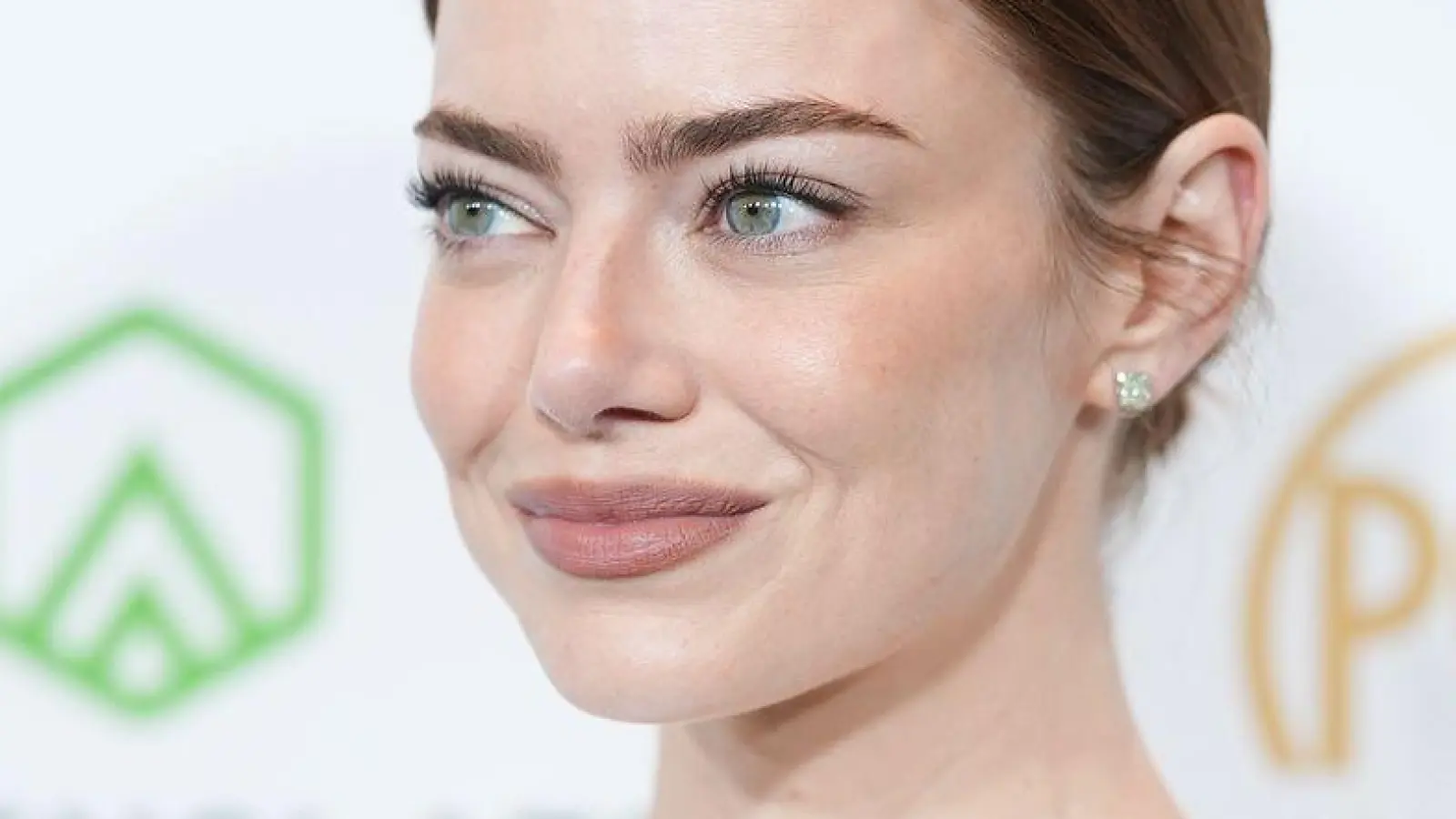 Einer der Anwärter auf den Preis, „Bugonia“ mit der Schauspielerin Emma Stone, ging leer aus. (Foto: Richard Shotwell/Invision/AP/dpa)