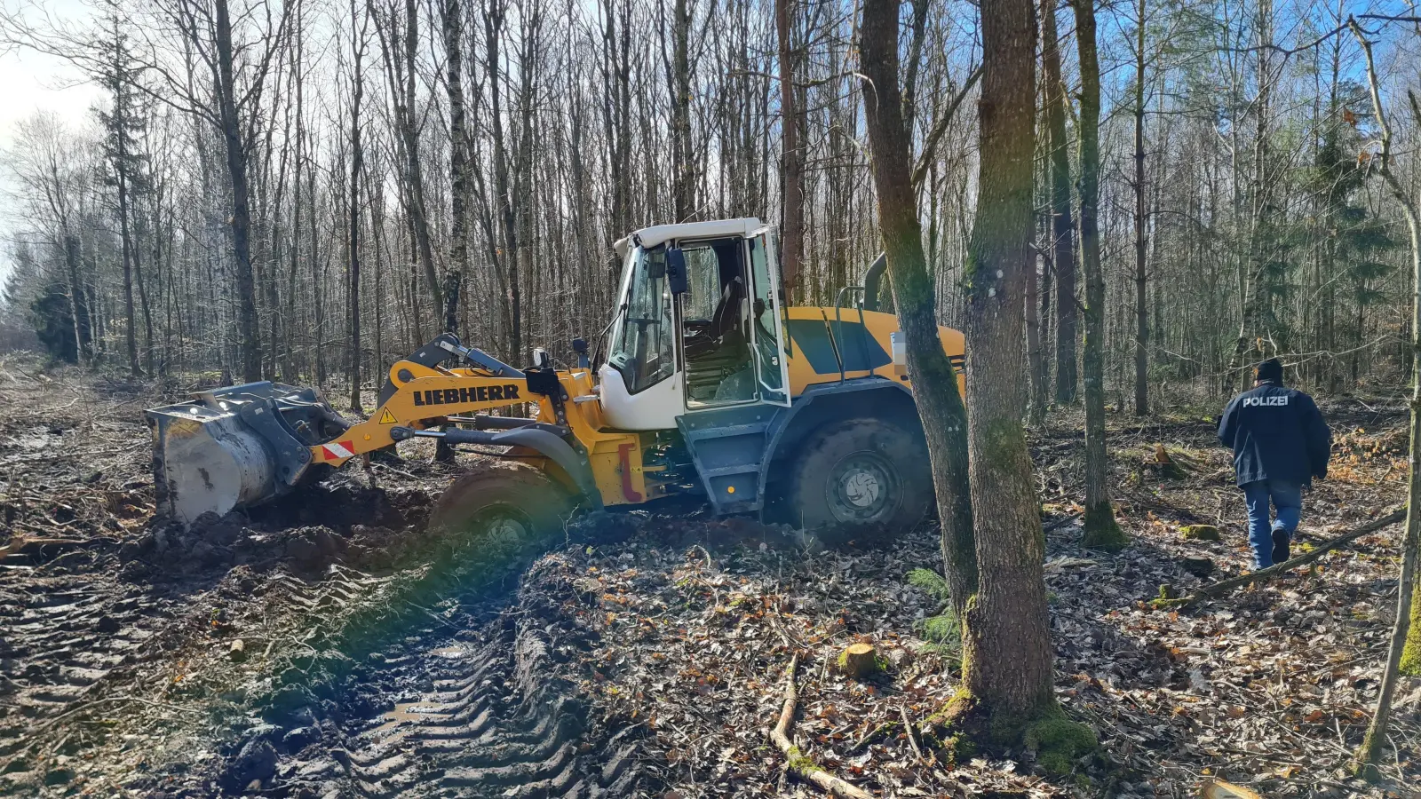 In einem Waldstück zwischen den Ansbacher Stadtteilen Dombach im Loch, Kurzendorf und Meinhardswinden fuhr sich der Angeklagte mit dem gestohlenen Radlader fest. (Foto: privat)