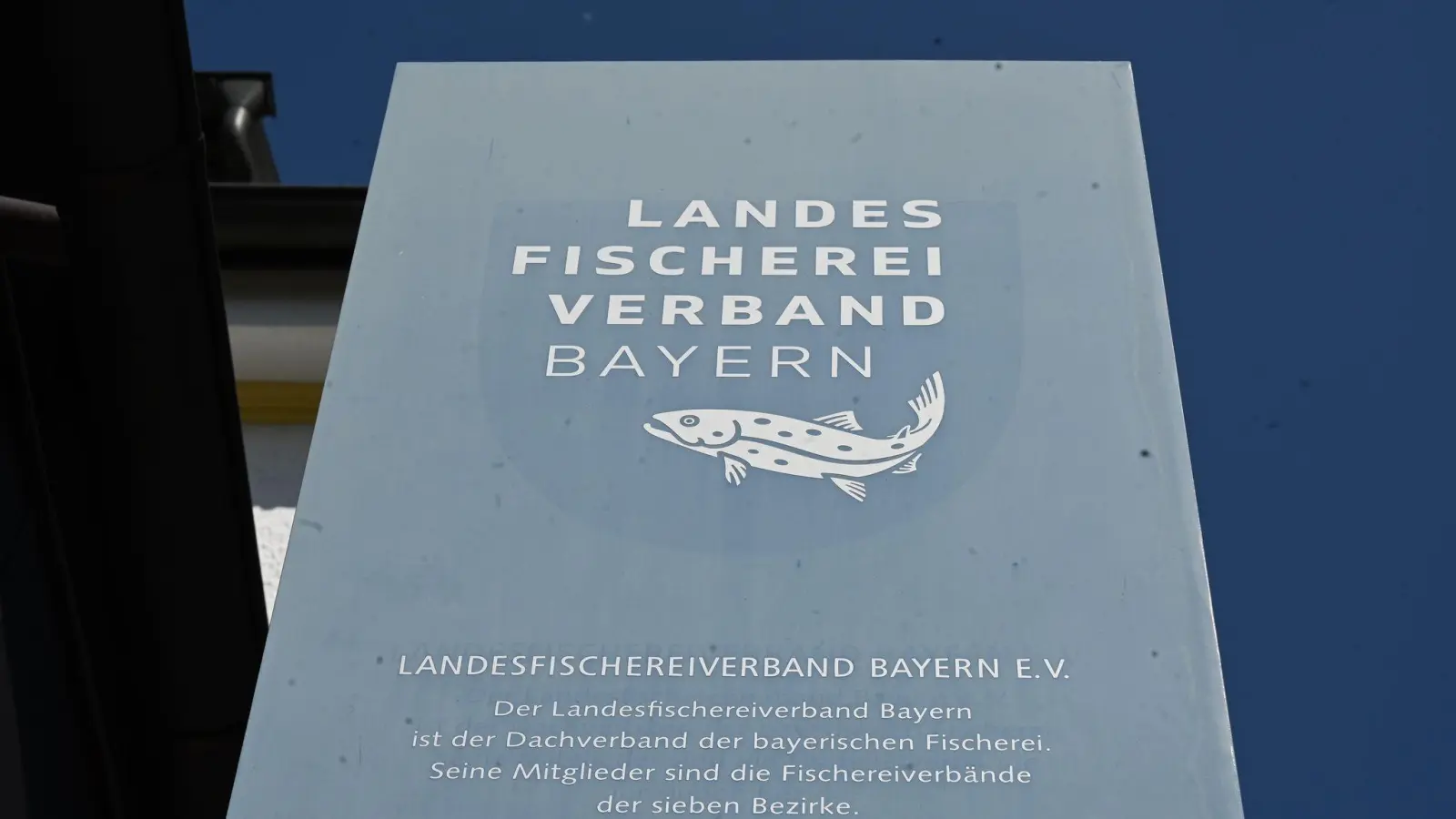 Der Präsident des Landes Fischereiverbands Bayern ist zurückgetreten.  (Foto: Florian Diettrich/dpa)