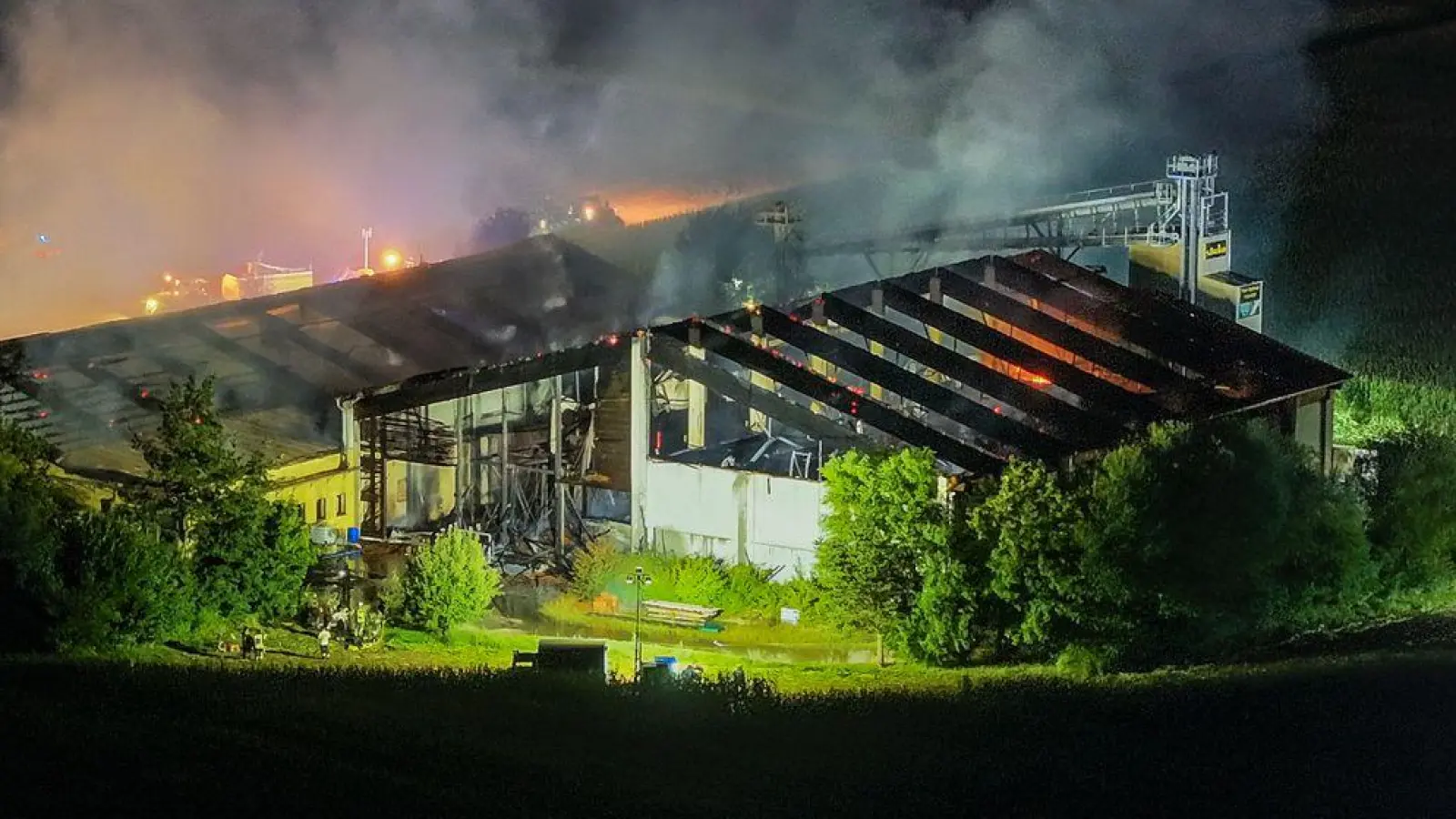 Über 1.000 Schweine wurden bei dem Brand getötet. (Foto: Jason Tschepljakow/dpa)