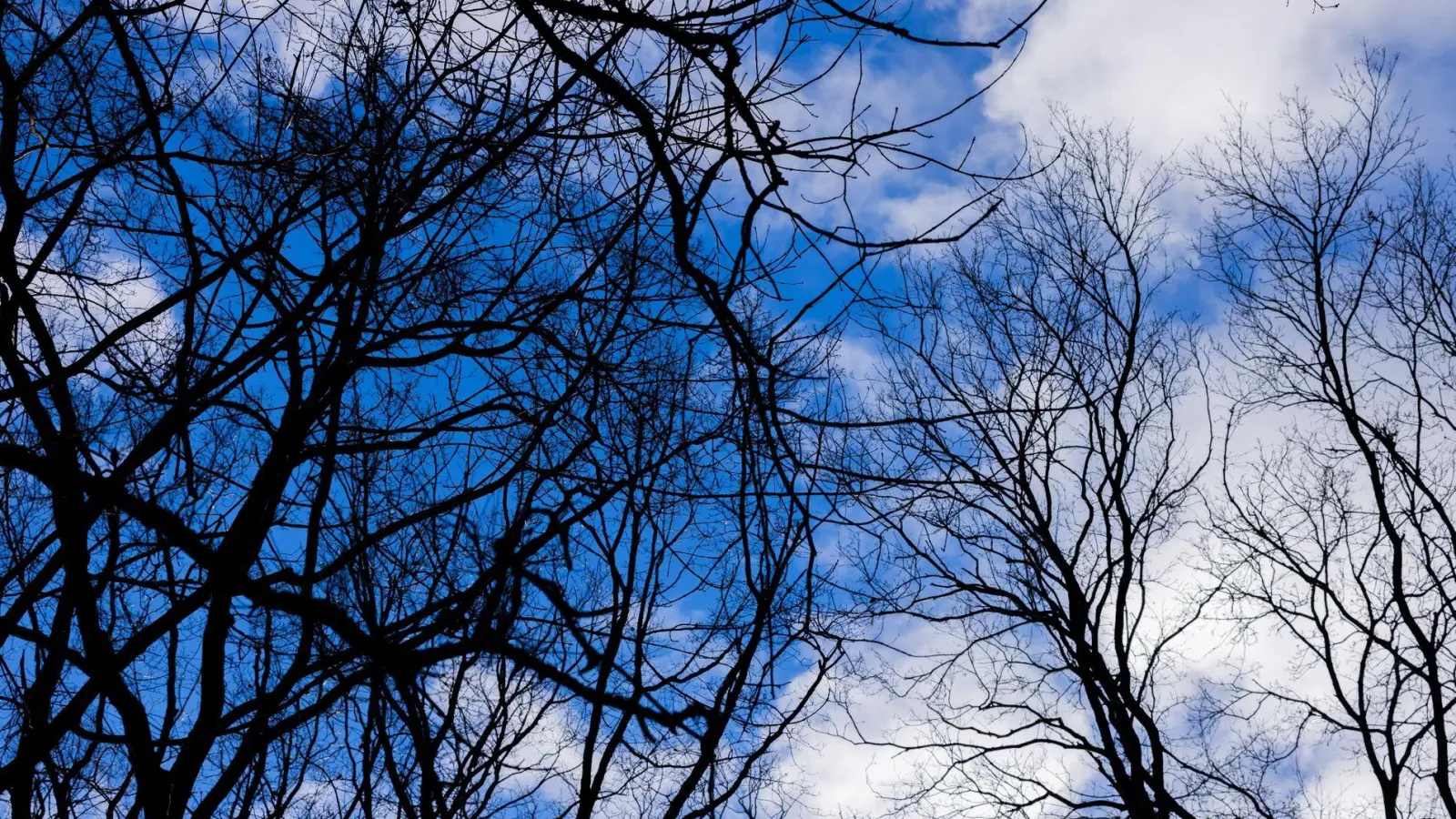 Für Samstag wird frühlingshaftes Wetter angekündigt. (Foto: Rolf Vennenbernd/dpa)