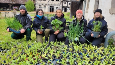 Das Team um Gärtner Florian Dennert hat den Heil- und Gewürzkräutermarkt vorbereitet (von rechts nach links): Philippa Spöckl, Helene Köster, Hana Braun und Katharina Raab. (Foto: Nina Daebel)