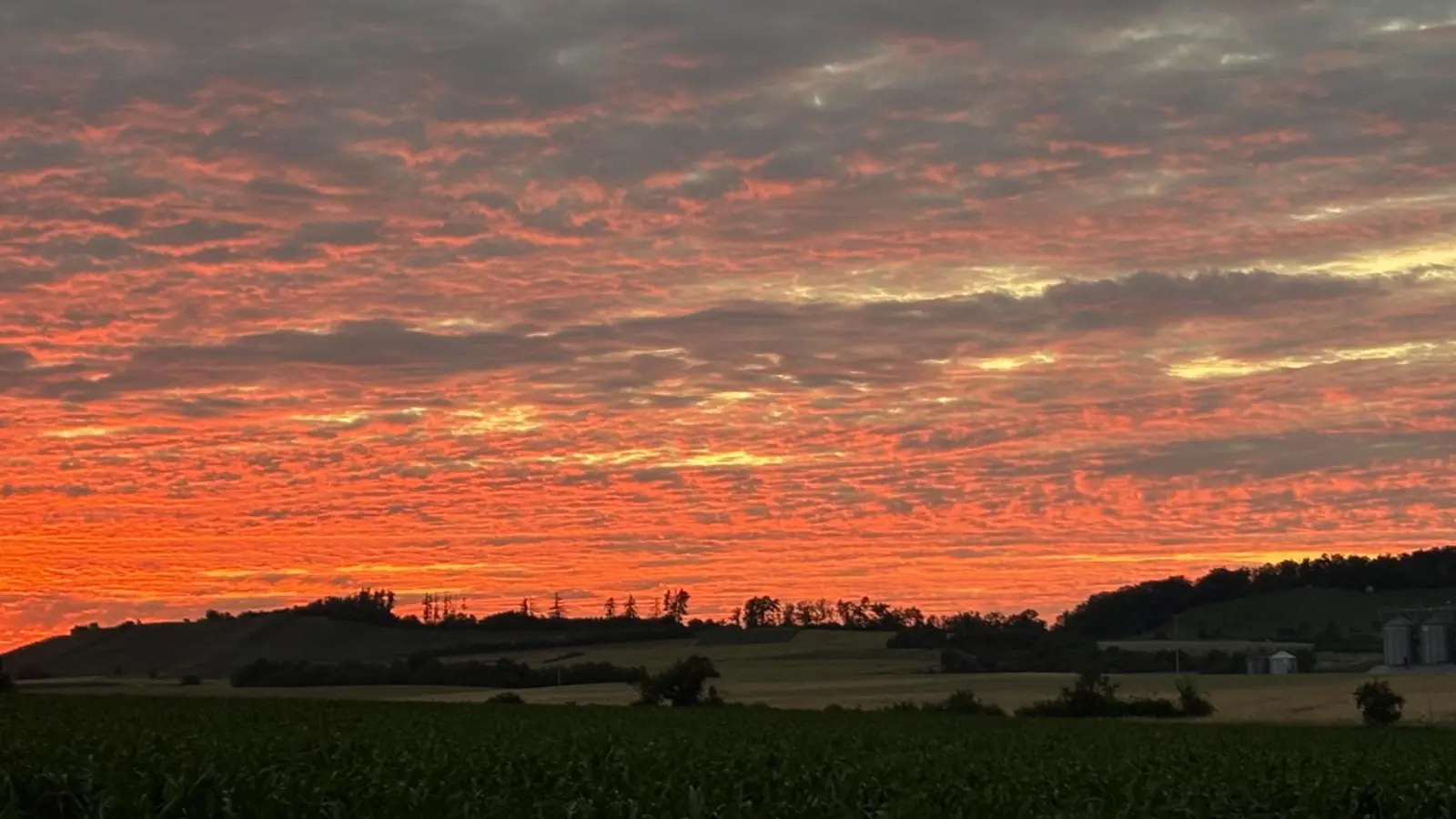 Kapellberg in Rot - gesehen von Ulsenheim aus (Foto: Heinrich Gärtner)