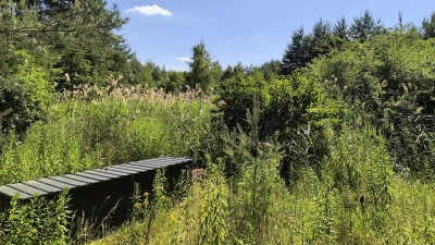 Auf den ersten Blick sieht das Gelände der verfüllten Sandgrube unproblematisch aus. Doch Landwirt Thomas Schaffner aus Oberkemmathen sieht Anhaltspunkte dafür, dass im Untergründe noch Abfälle liegen könnten.  (Foto: Thomas Schaller)