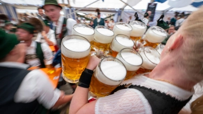 Bayern- oder auch Deutschland-Klischee pur: Eine Bedienung trägt in einem Festzelt Maßkrüge - hier beim Gaufest des Chiemgau-Alpenverbands 2024. (Archivbild) (Foto: Peter Kneffel/dpa)