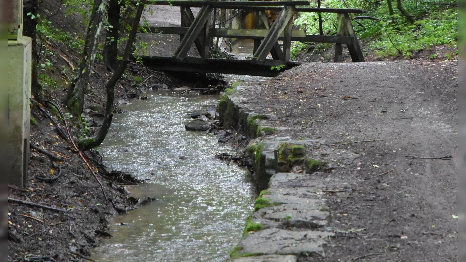 Der Strahlbach: Sieht idyllisch aus, kann aber im Falle eines 100-jährlichen Hochwasserereignisses enorme Schäden verursachen. (Foto: Anita Dlugoß)