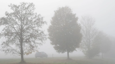 Nach einer kalten Nacht kann es in Bayern örtlich wieder zu Nebel kommen. (Archivbild) (Foto: Stefan Puchner/dpa)