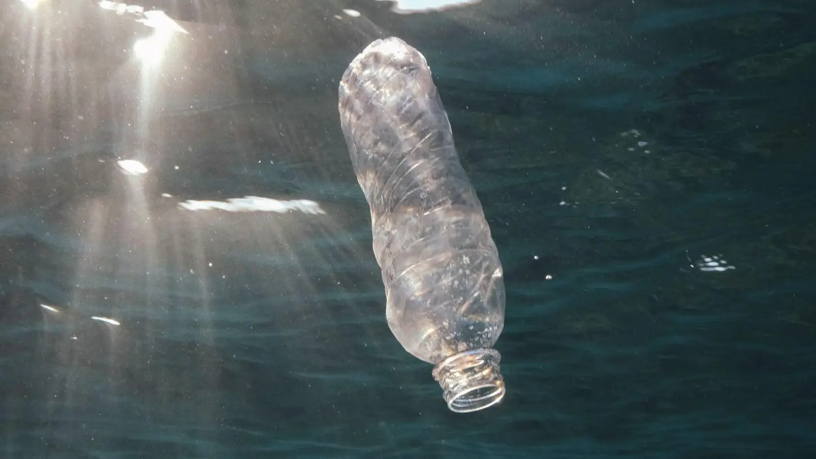 Eine weggeworfene Plastikflasche im Roten Meer vor Ägypten. (Foto: Andrey Nekrasov/Zuma Press/dpa)