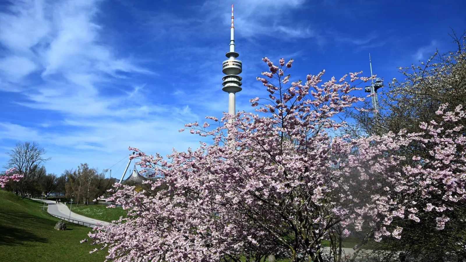 Am Mittwoch bleibt es sonnig. (Archivbild) (Foto: Felix Hörhager/dpa)