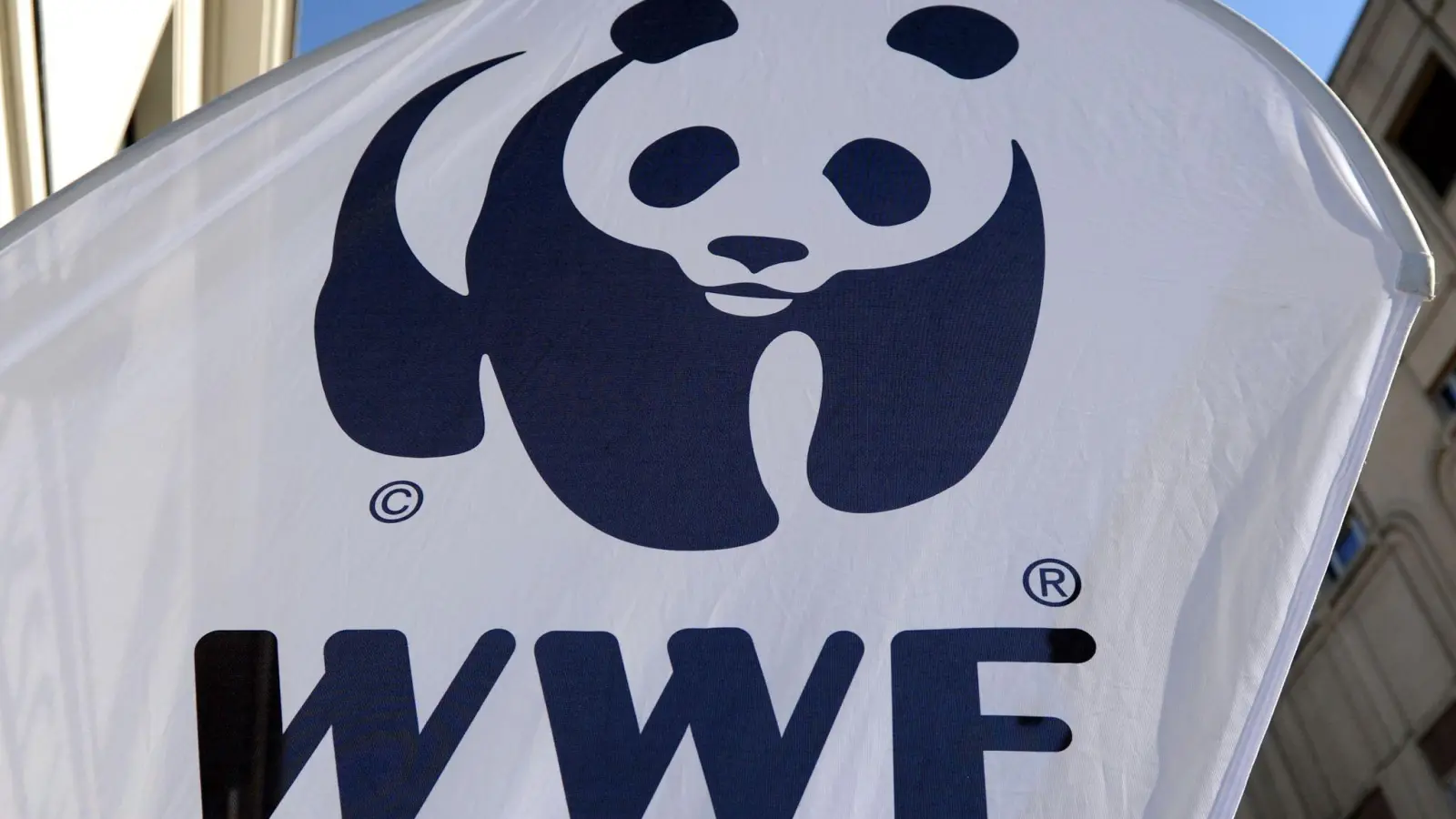 Die Umweltschutzorganisation WWF alarmiert wegen illegaler Fischerei. (Foto: Jens Kalaene/ZB/dpa)