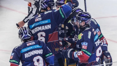 Meister Eisbären Berlin steht im Playoff-Halbfinale. (Foto: Andreas Gora/dpa)