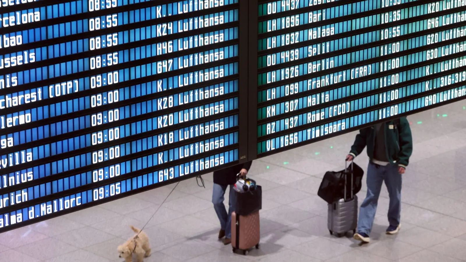 Eine Frau wurde am Münchner Flughafen vom Weiterflug ausgeschlossen. (Symbolbild) (Foto: Karl-Josef Hildenbrand/dpa)