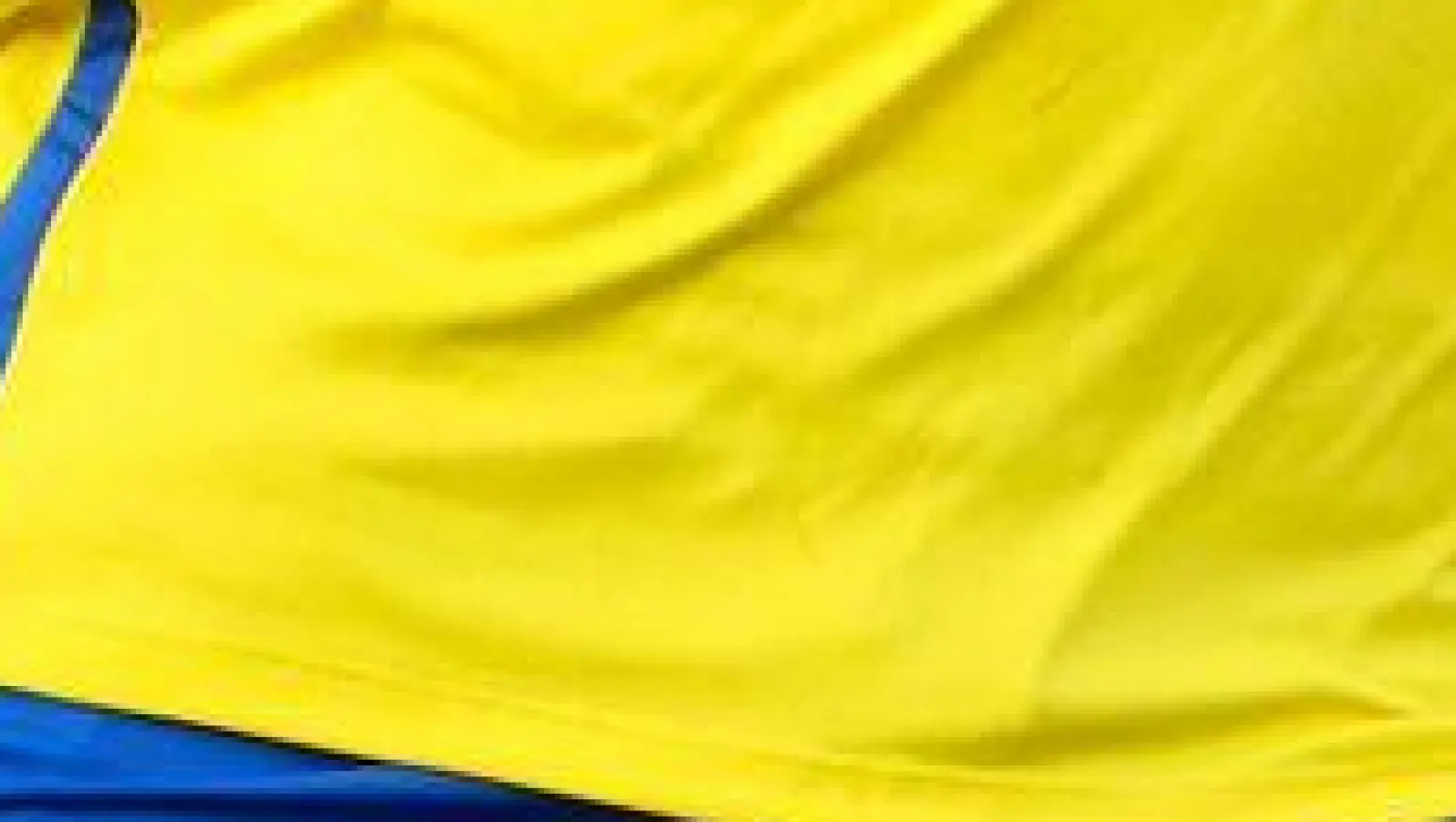 Essens Torwart Felix Wienand ist beim Spiel gegen Waldhof Mannheim von einem Böller verletzt worden. (Archivbild) (Foto: Christoph Reichwein/dpa)