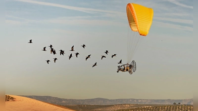 Wissenschaftler begleiten Waldrappen bei ihrem Zug nach Spanien. (Foto: Gunnar Hartmann/Nature/dpa)