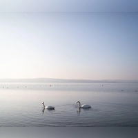 Der Bodensee ist für die Jahreszeit ungewöhnlich warm. (Symbolbild)  (Foto: Philipp von Ditfurth/dpa)