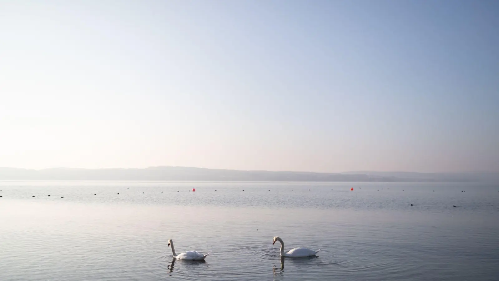 Der Bodensee ist für die Jahreszeit ungewöhnlich warm. (Symbolbild)  (Foto: Philipp von Ditfurth/dpa)