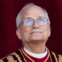 Papst Leo XIV. hat einen Priester aus dem Landkreis Ansbach aus dem Klerikerstand entlassen. (Foto: Marijan Murat/dpa)