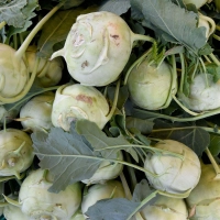 Kohlrabi &amp; Co. mit Stumpf und Stiel aufessen: Nicht immer die beste Idee. (Foto: Holger Hollemann/dpa/dpa-tmn)