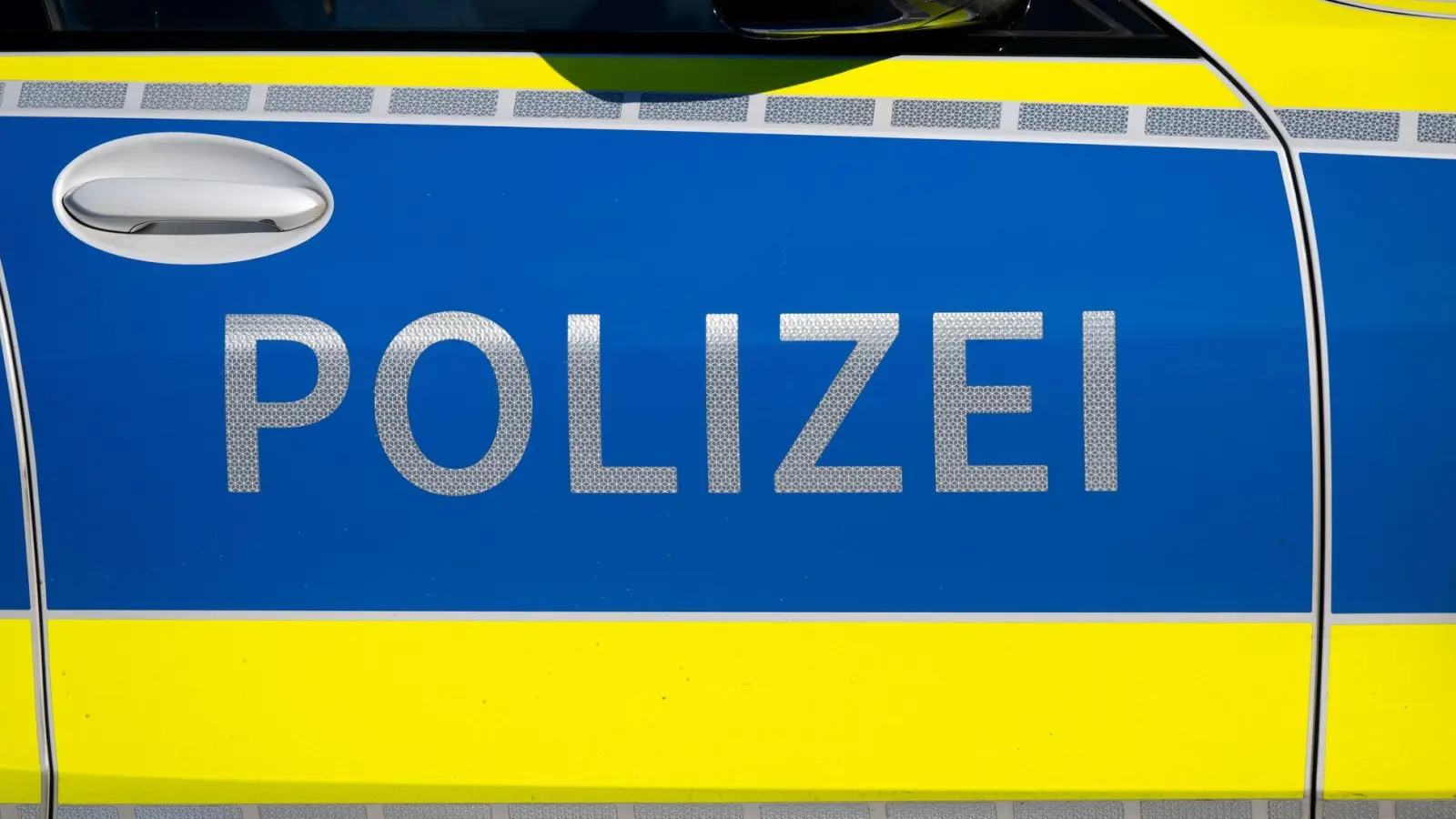 Polizeiangaben zufolge waren bei dem Vorfall mehr als 30 Polizeikräfte im Einsatz. (Symbolbild) (Foto: Sven Hoppe/dpa)