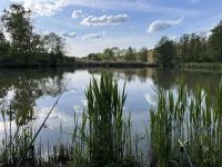 Angleridylle - gesehen bei Schnelldorf (Foto: Bernd Probst)