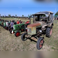 Ein Oldtimer-Traktor schöner als der andere. (Foto: Karl-Josef Hildenbrand/dpa)