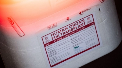 Die Zahl der Organspender in Bayern ist leicht rückläufig. (Symbolbild) (Foto: Sebastian Gollnow/dpa)