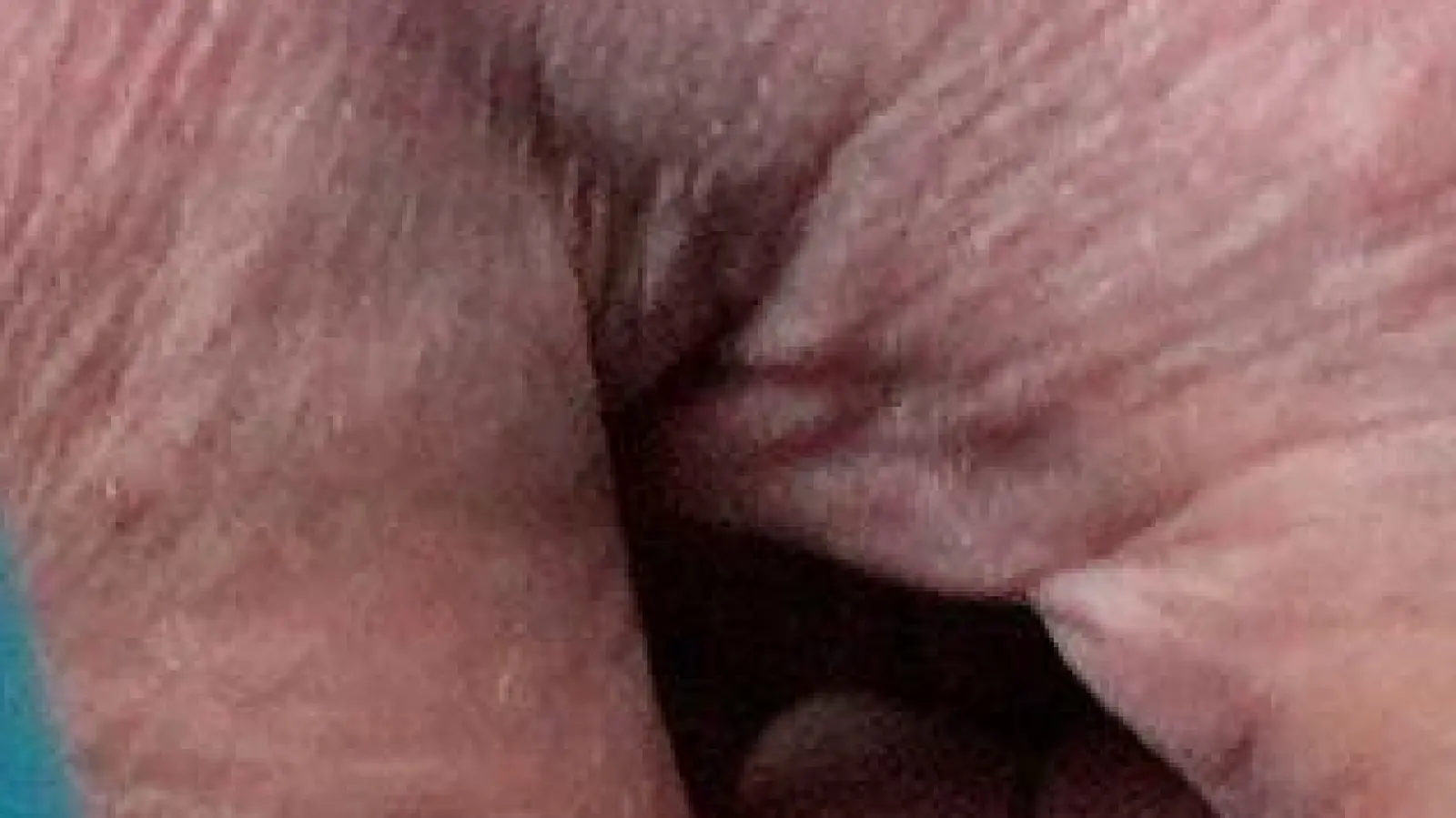 US-Präsident Donald Trump zeigt auf Dokumente auf dem Boden des Besprechungsraums, während er mit Reportern im James Brady Press Briefing Room im Weißen Haus spricht. (Foto: Alex Brandon/AP/dpa)