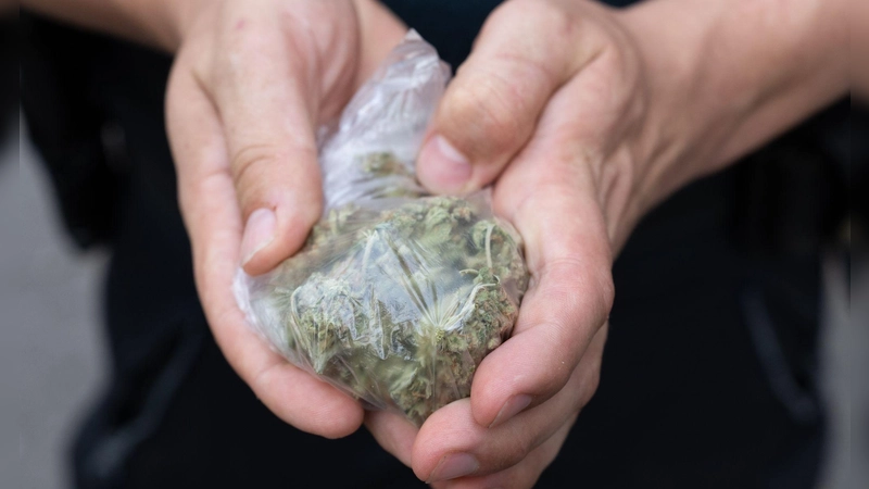 Die Polizei stellte mehrere Kilogramm Cannabis, ein Kilogramm Haschisch, mehrere Hundert Gramm Kokain sowie eine größere Summe Bargeld sicher. (Symbolbild) (Foto: Boris Roessler/dpa)