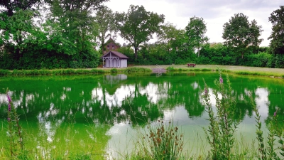 Bürgerinnen und Bürger unterstützen die Gemeinde dabei, die Algen aus dem Wasser des Badeweihers zu entfernen. (Foto: Jim Albright)