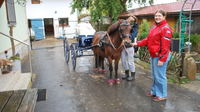 Die Reitschülerinnen Eva und Luisa (vorn) spannen das schwere Warmblut „Smart” an.  (Foto: Astrid Pirner)