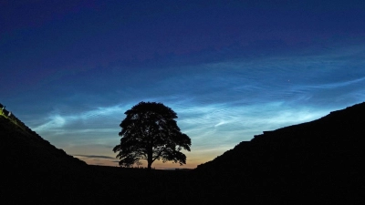Der Sycamore Gap Tree in England war einst ein beliebtes Fotomotiv. (Archivfoto) (Foto: Owen Humphreys/PA Wire/dpa)
