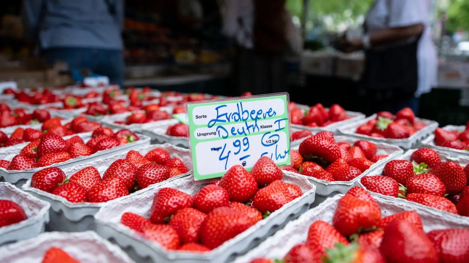 Marktstand mit Erdbeeren in München. (Foto: Sven Hoppe/dpa)