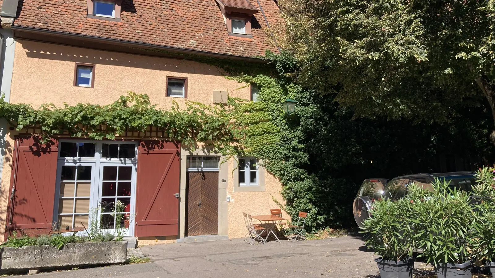 Das Thema Stadtbegrünung wurde im Klimabeirat diskutiert. Auch die Fassadenbegrünung trage einen Teil zur Klimaverbesserung bei, so Dennis Geißler, und verwies auf Fördermöglichkeiten. (Foto: Clarissa Kleinschrot)