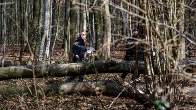 Durch einen umgestürzten Baum sind bei Flensburg drei Menschen ums Leben gekommen. (Foto: Benjamin Nolte/dpa)