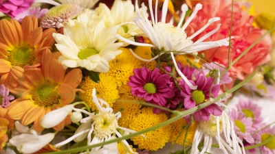 Wer selbst Blumen aus seinem Garten erntet, sollte schon aufgeblühte und ausgereift wirkende Blüten mit Stiel abschneiden. (Foto: JustChrys.com/dpa-tmn)