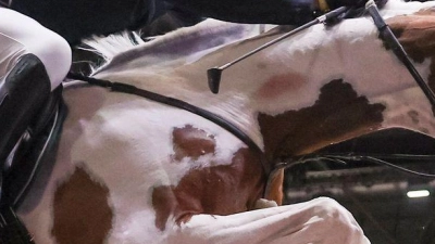 Gerrit Nieberg auf Ping Pong van de Lentamel springt im Ersten Umlauf beim Longines Fei Jumping World Cup in Leipzig. (Foto: Jan Woitas/dpa)