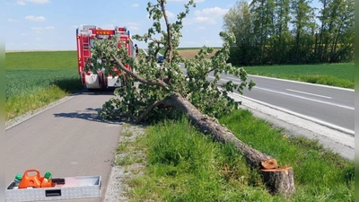 Am 1. Mai musste die Uffenheimer Feuerwehr zum Radweg an der Staatsstraße zwischen Uffenheim und Adelhofen ausrücken, weil Teile eines Baums auf die Trasse ragten. (Foto: Feuerwehr Uffenheim/Dietmar Braun)