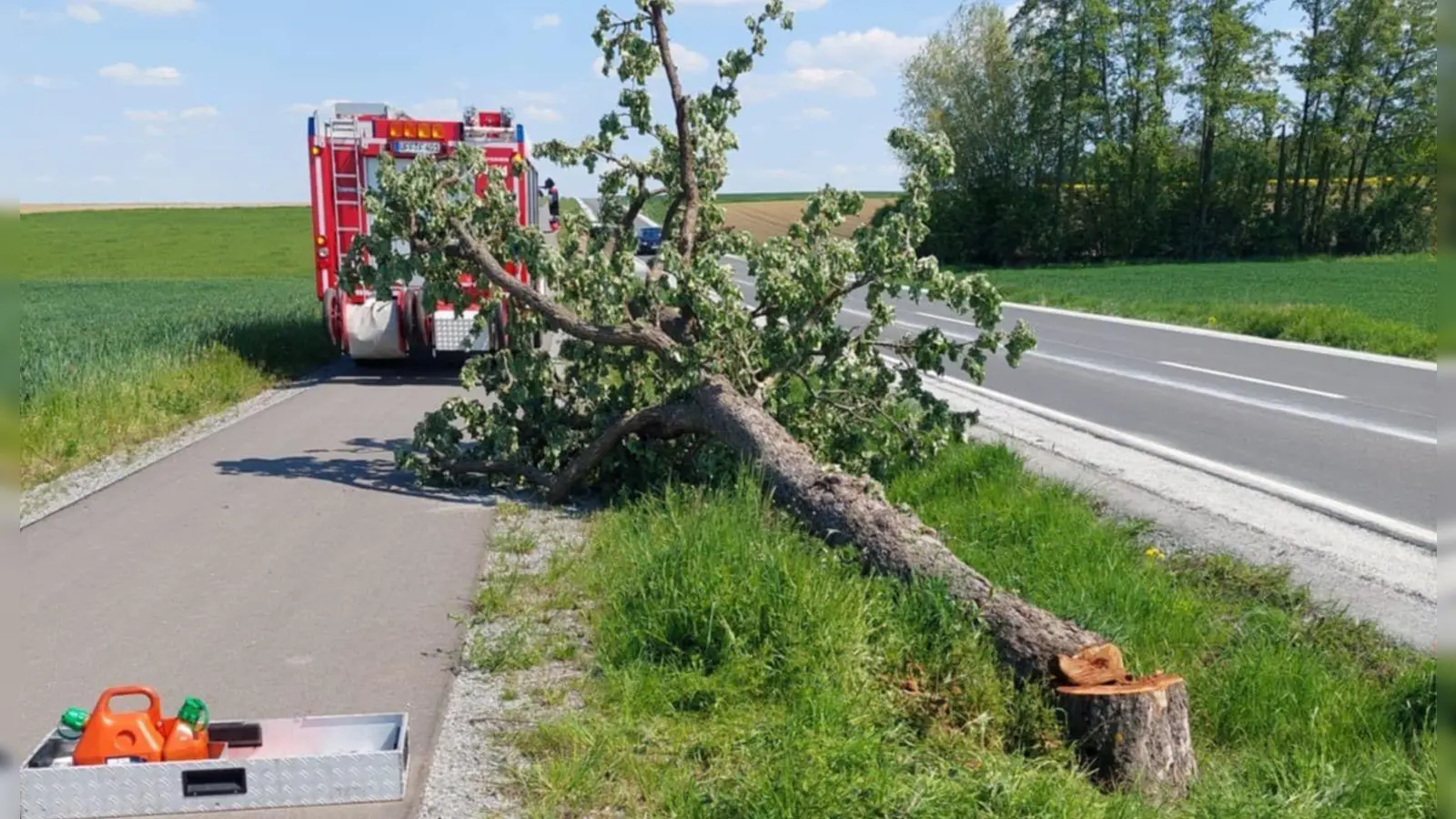 Am 1. Mai musste die Uffenheimer Feuerwehr zum Radweg an der Staatsstraße zwischen Uffenheim und Adelhofen ausrücken, weil Teile eines Baums auf die Trasse ragten. (Foto: Feuerwehr Uffenheim/Dietmar Braun)