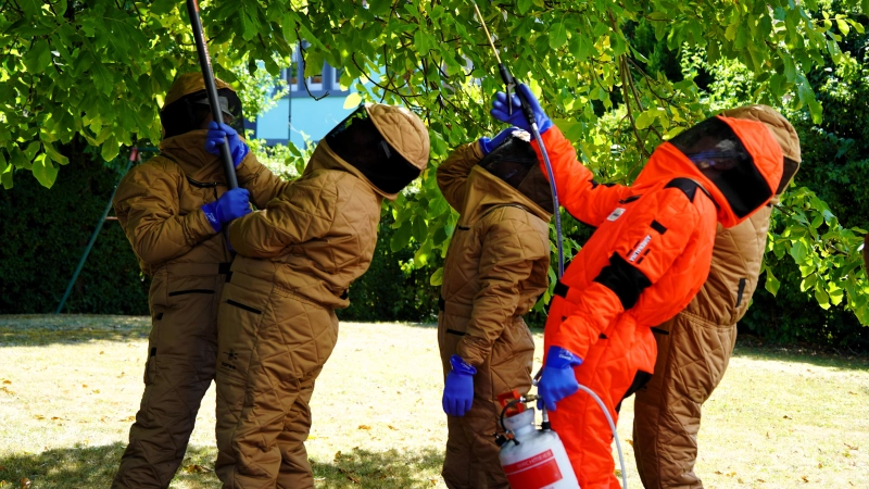 Die gepolsterten Schutzanzügen sind so dick, dass der lange Hornissenstachel keinen Schaden anrichten kann. So ausgestattet führen die Nestentferner die Lanze in die Baumkrone.  (Foto: Simone Hedler)