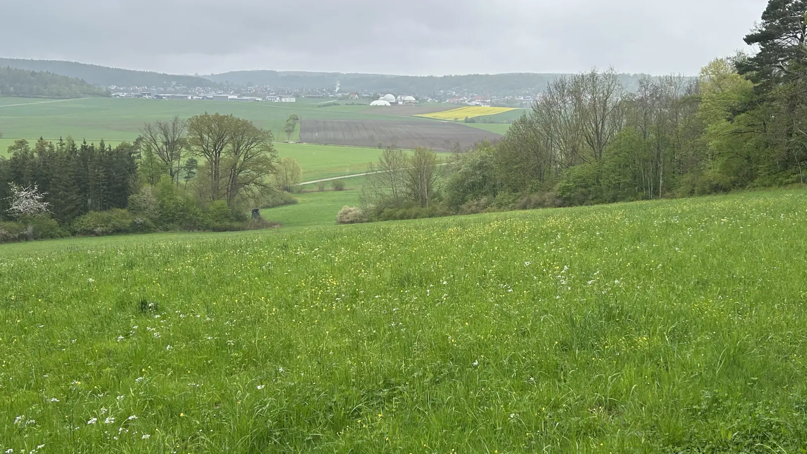 Eine malerisch-verträumte Gegend unweit von Weihenzell: Hier soll auf dem derzeit braunen Acker im Hintergrund nach den Plänen des Betreibers die Hähnchenmastanlage entstehen. (Foto: Florian Pöhlmann)