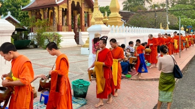 Der tägliche Almosengang („Sai Bat“) der buddhistischen Mönche ist eine der Hauptattraktionen in Luang Prabang. (Foto: Carola Frentzen/dpa-tmn)