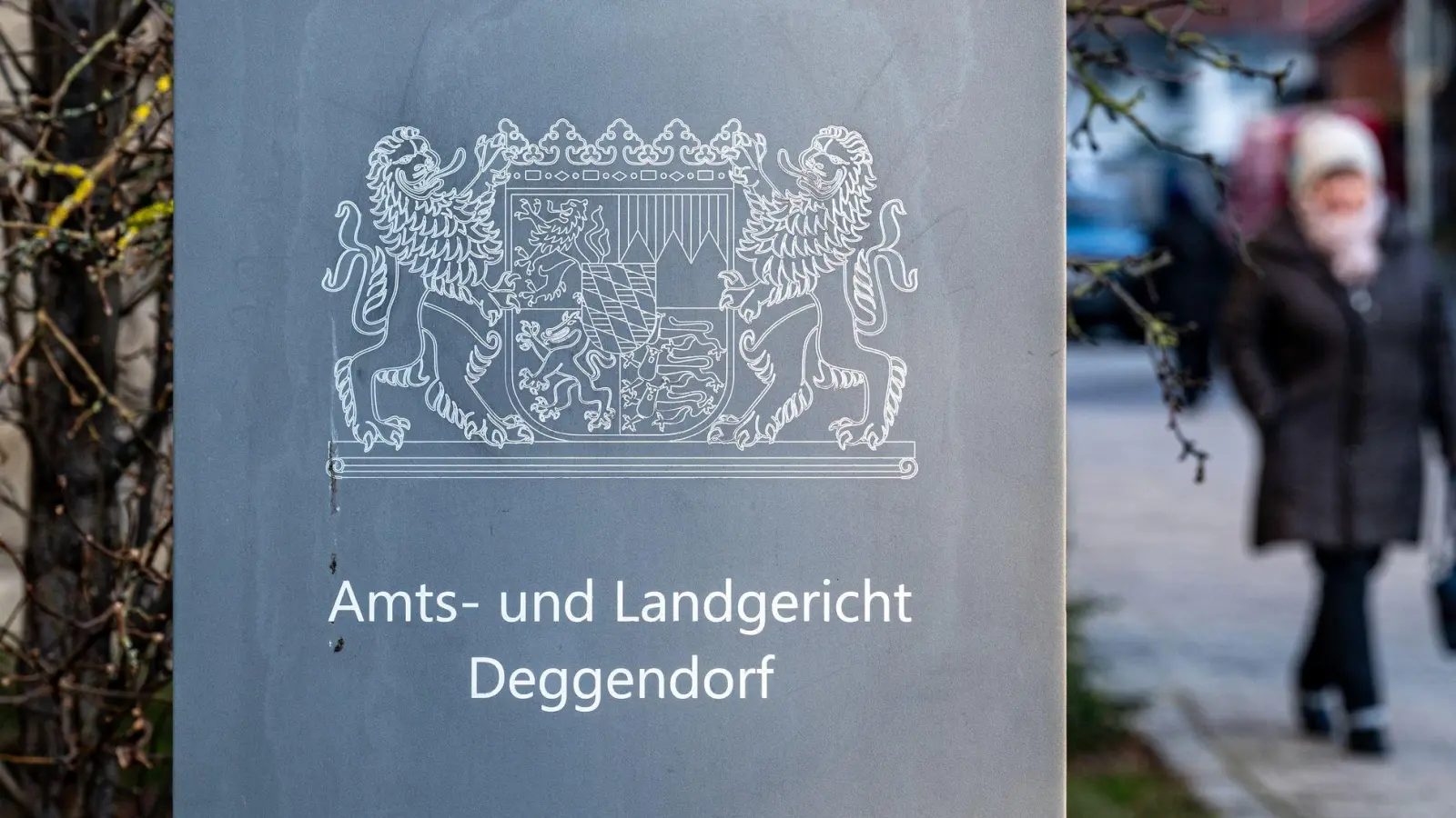 Eine Frau ist vor dem Landgericht Deggendorf wegen Mordes an ihrem Lebensgefährten angeklagt. (Symbolfoto)  (Foto: Armin Weigel/dpa)