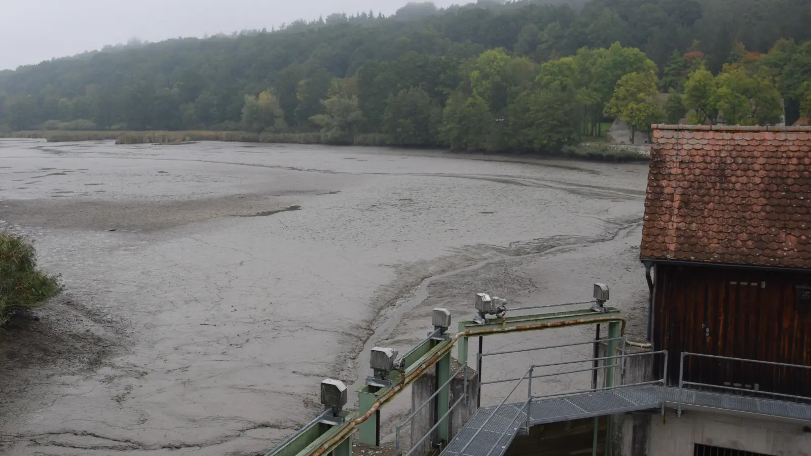 Derzeit befindet sich kein Wasser im Scheerweiher. Dass dieses in der aktuellen Jahreszeit abgelassen wird, ist nicht ungewöhnlich. Es ist nötig, um die Karpfen abzufischen. (Foto: Florian Schwab)