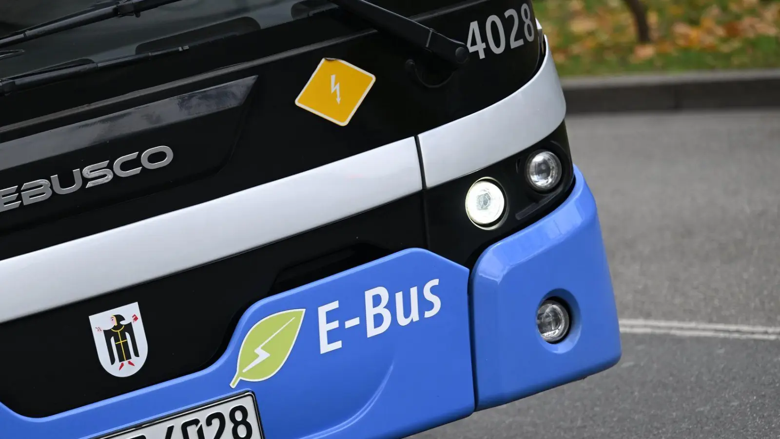 Die SPD im Landtag will den Kommunen den Kauf von E-Autos erleichtern - dazu fordert sie einen Fördertopf des Freistaates von 500 Millionen Euro. (Illustration) (Foto: Angelika Warmuth/dpa)