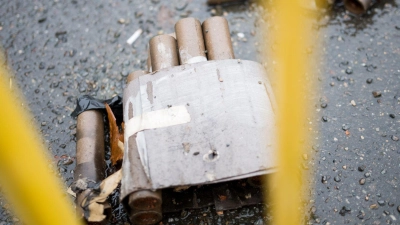 Durch den Heckenbrand entstand etwa 20.000 Euro Schaden. (Symbolbild) (Foto: Sebastian Christoph Gollnow/dpa)